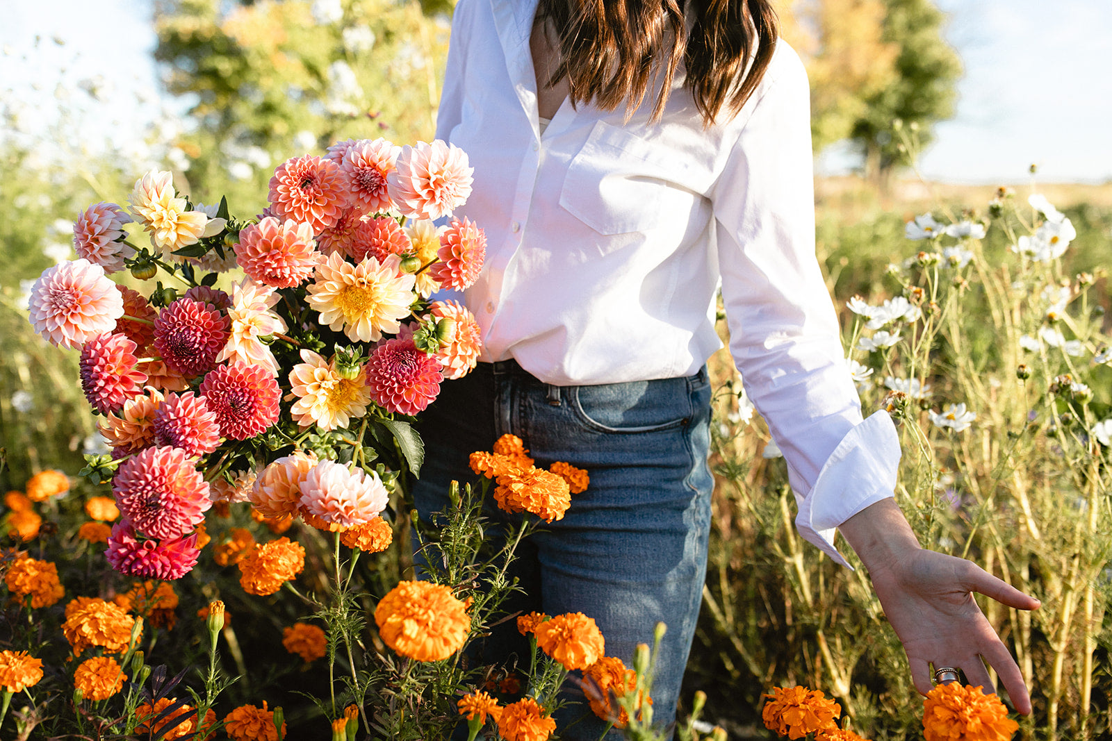 Flower Growing & Arranging Classes With Flowerwell – Rochester Brainery
