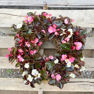 Sunday, May 17th | 10:00AM-11:00AM | Create a Blooming Begonia Wreath