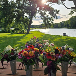 Wednesday, October 7th | 5:00PM-7:00PM | From Field to Bouquet: A Flower Farm Workshop