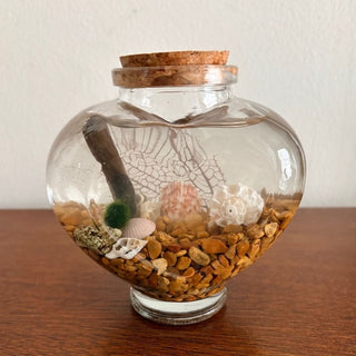 Wednesday, February 4th | 6:00PM-7:00PM | Glass Heart Jar Aquatic Terrarium Workshop