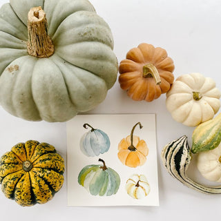 Wednesday, November 4th | 6:00PM-8:00PM | Gourds & Pumpkins in Watercolor