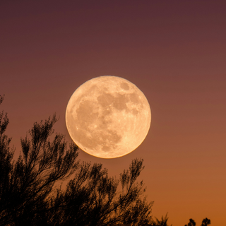 Friday, October 30th | 6:00PM-8:00PM | Energy & Lunar Alignment: Halloween Human Design Workshop
