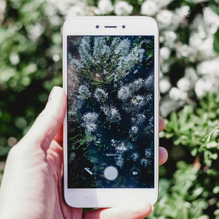 Thursday, January 15th | 6:00PM-8:00PM | How to Use Your Camera Phone