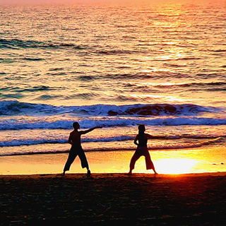 Monday, June 8th | 6:00PM-7:00PM | Intro to Tai Chi and Qigong