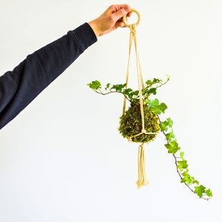 Wednesday, January 7th | 6:30PM-7:30PM | Kokedama Workshop