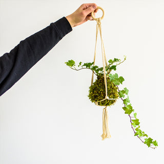 Monday, January 20th | 6:30PM-7:30PM | Kokedama Workshop