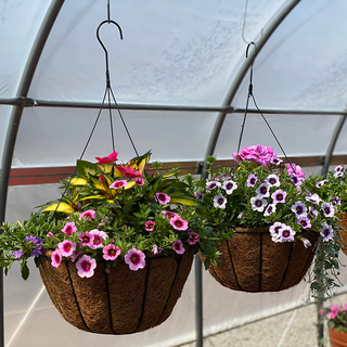 Saturday, May 4th | 11:00AM-12:30PM | Mother's Day Hanging Basket