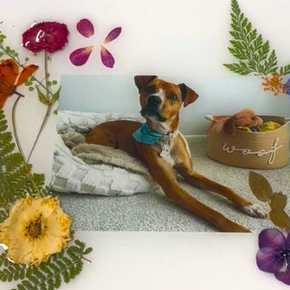 Resin Pet Portraits: Custom Nature-Inspired Keepsake Workshop - Inquire for Pricing