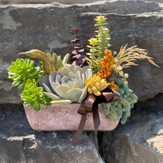 Saturday, September 26th | 10:00AM-11:00AM | Succulent Centerpiece: Fall Decor & Wooden Flowers