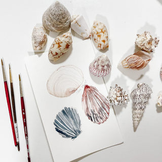 Tuesday, June 23rd | 6:00PM-8:00PM | Summer Shells in Watercolor