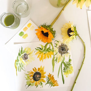 Tuesday, August 25th | 6:00PM-8:00PM | Sunflowers in Watercolor