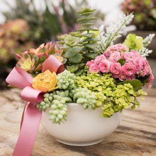 Sunday, March 22nd | 11:00AM-12:00PM | Tabletop Succulent Arrangement with Wood Flowers