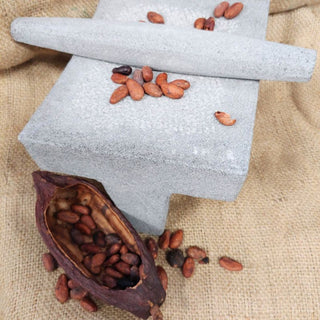 Saturday, October 3rd | 11:00AM-1:00PM | Transforming the Cacao Bean