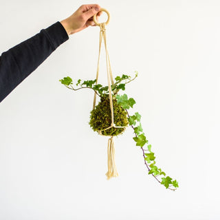Monday, July 13th | 6:30PM-8:00PM | Kokedama Workshop